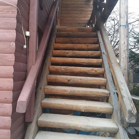Виноградна Лоза